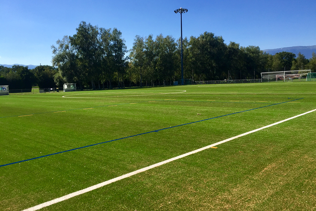 terrain de foot